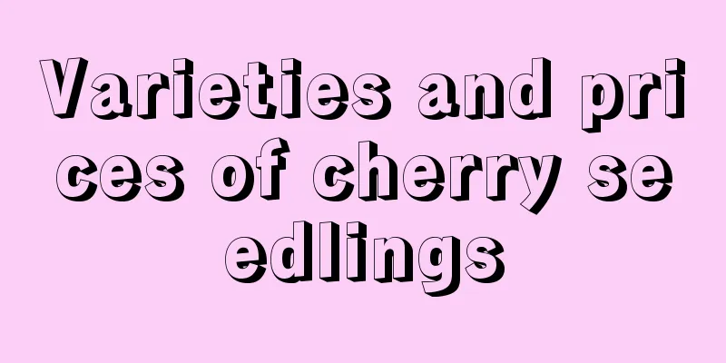 Varieties and prices of cherry seedlings