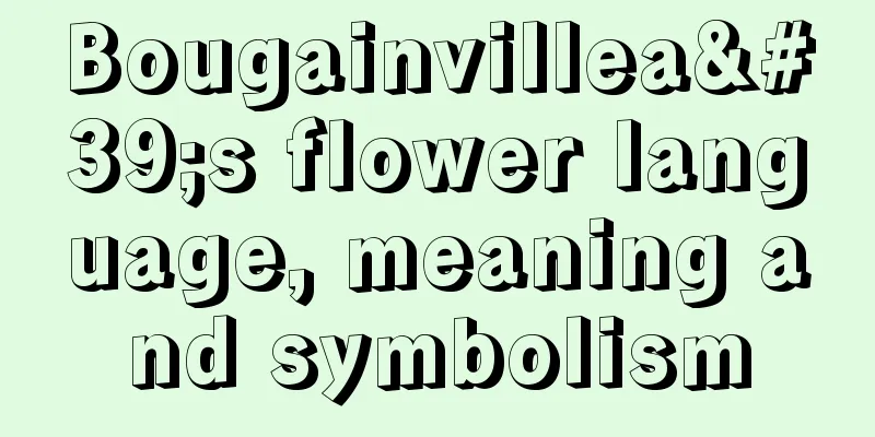 Bougainvillea's flower language, meaning and symbolism