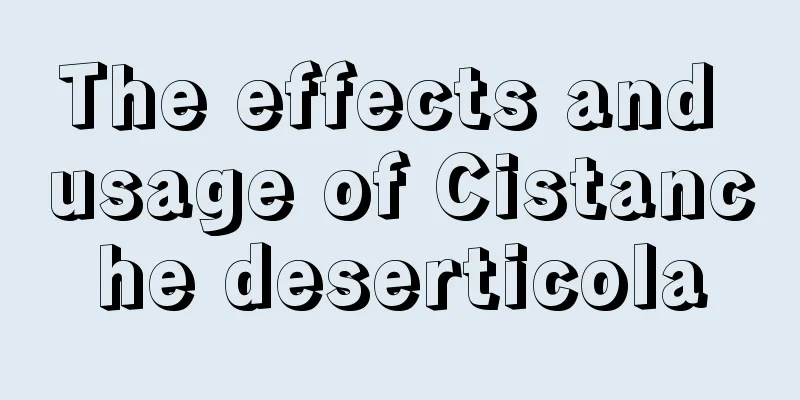 The effects and usage of Cistanche deserticola