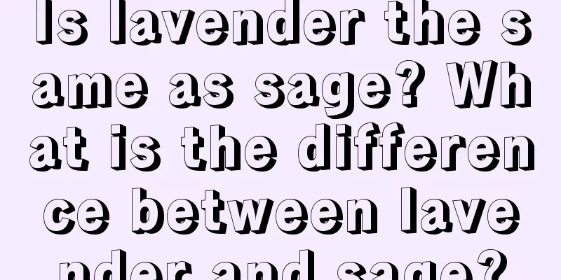 Is lavender the same as sage? What is the difference between lavender and sage?