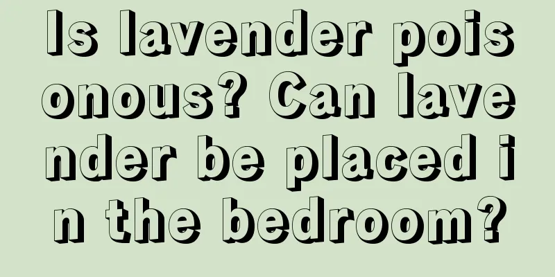 Is lavender poisonous? Can lavender be placed in the bedroom?