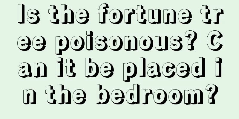 Is the fortune tree poisonous? Can it be placed in the bedroom?