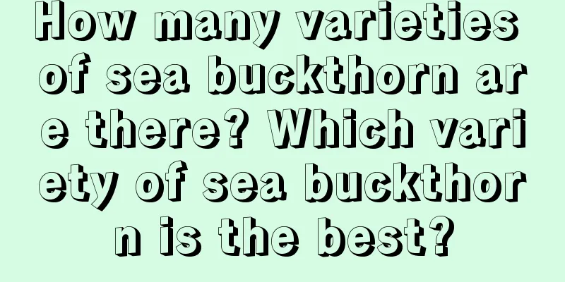 How many varieties of sea buckthorn are there? Which variety of sea buckthorn is the best?