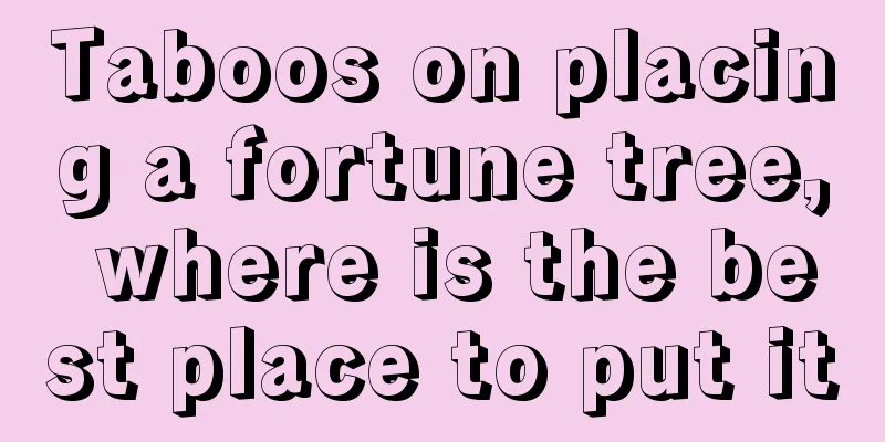 Taboos on placing a fortune tree, where is the best place to put it