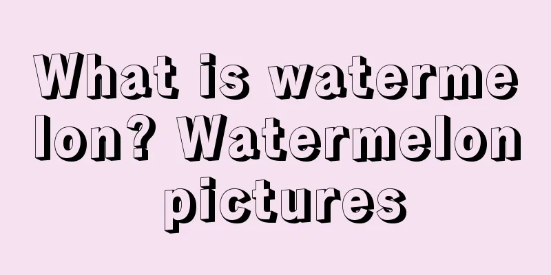 What is watermelon? Watermelon pictures