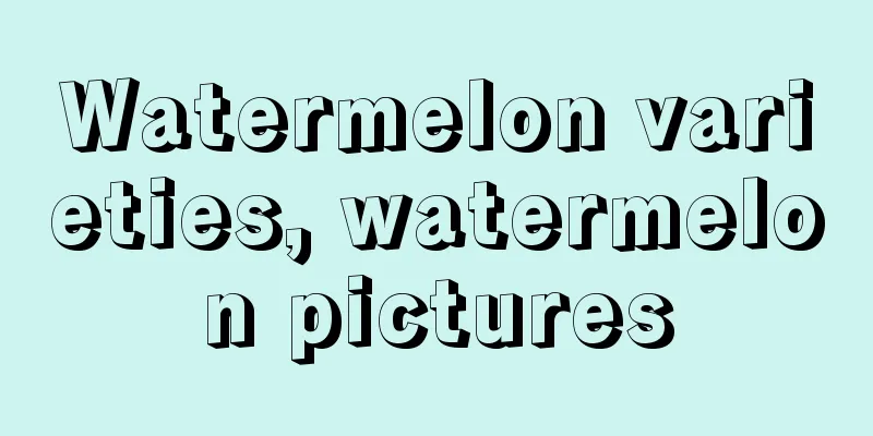 Watermelon varieties, watermelon pictures