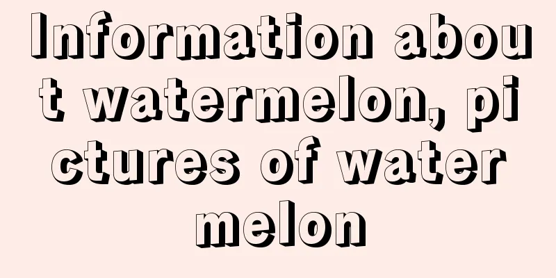 Information about watermelon, pictures of watermelon