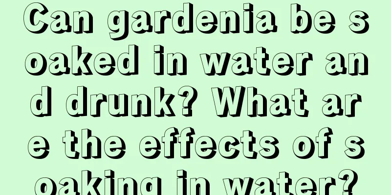 Can gardenia be soaked in water and drunk? What are the effects of soaking in water?