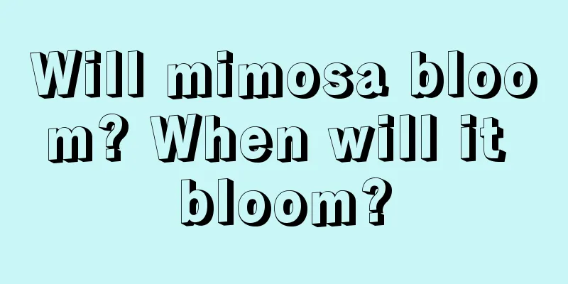 Will mimosa bloom? When will it bloom?