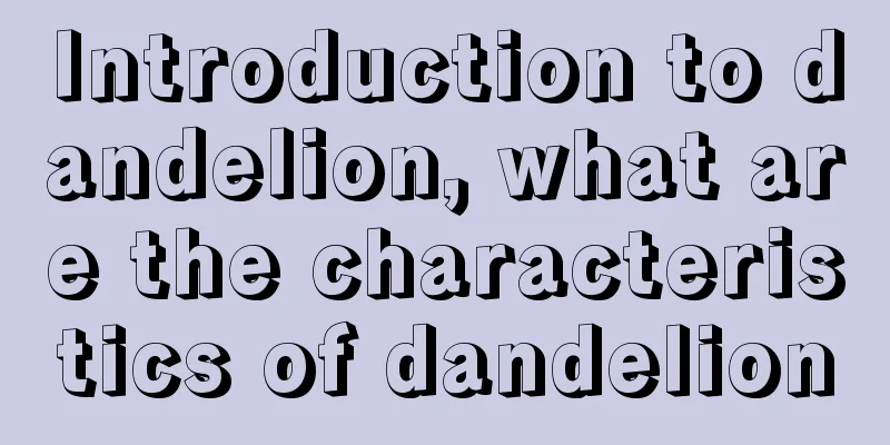 Introduction to dandelion, what are the characteristics of dandelion