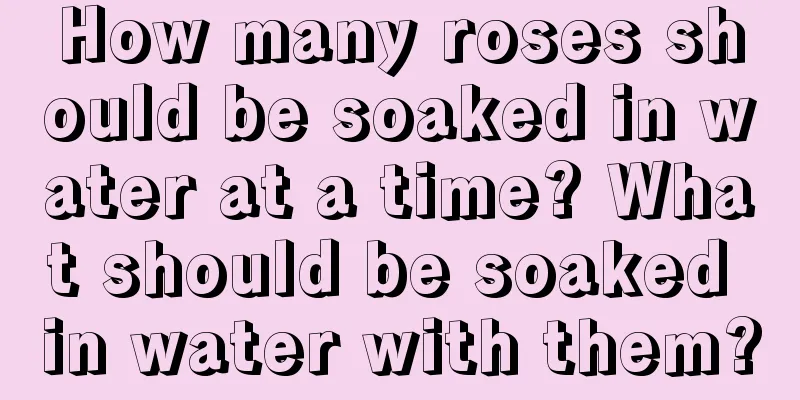 How many roses should be soaked in water at a time? What should be soaked in water with them?