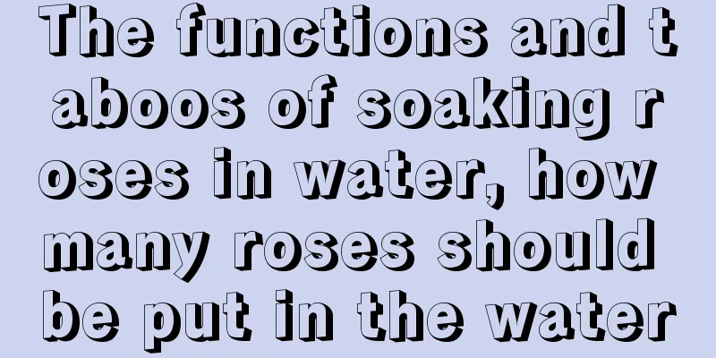 The functions and taboos of soaking roses in water, how many roses should be put in the water