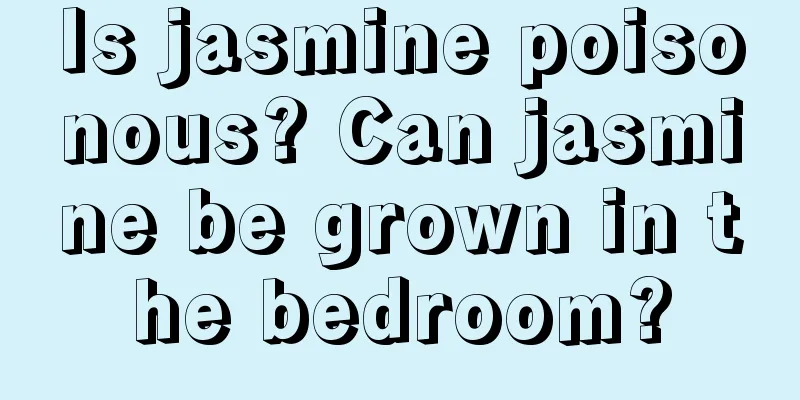 Is jasmine poisonous? Can jasmine be grown in the bedroom?