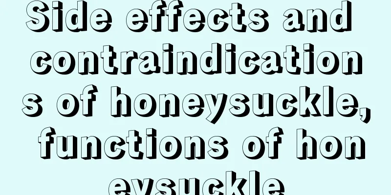 Side effects and contraindications of honeysuckle, functions of honeysuckle