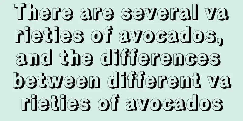 There are several varieties of avocados, and the differences between different varieties of avocados