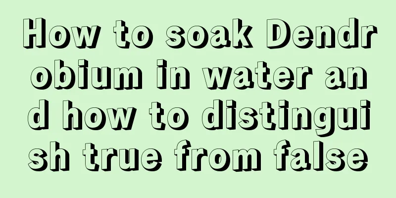 How to soak Dendrobium in water and how to distinguish true from false