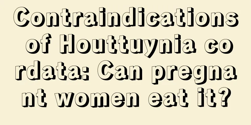 Contraindications of Houttuynia cordata: Can pregnant women eat it?