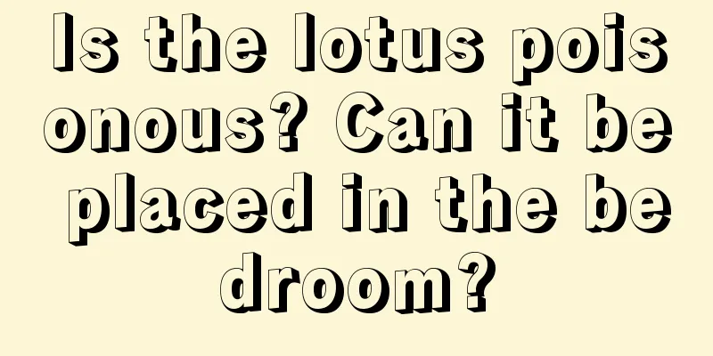 Is the lotus poisonous? Can it be placed in the bedroom?