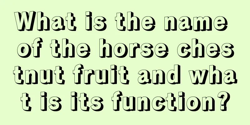 What is the name of the horse chestnut fruit and what is its function?