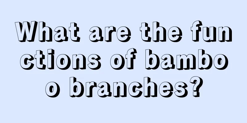 What are the functions of bamboo branches?