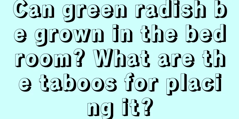 Can green radish be grown in the bedroom? What are the taboos for placing it?