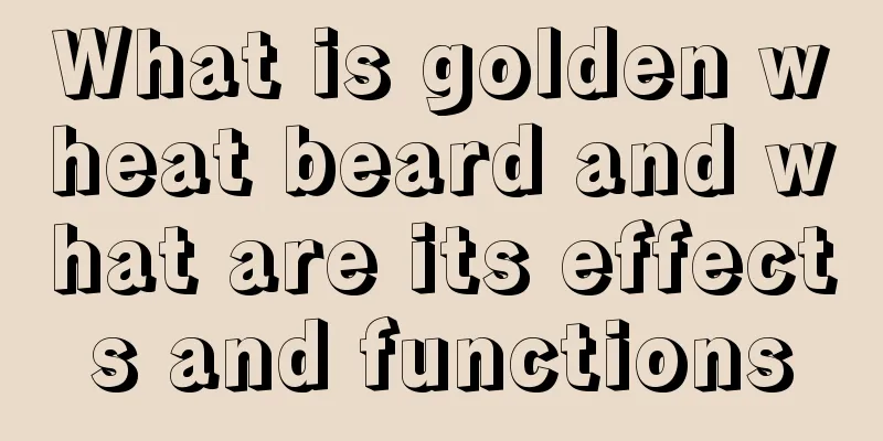 What is golden wheat beard and what are its effects and functions