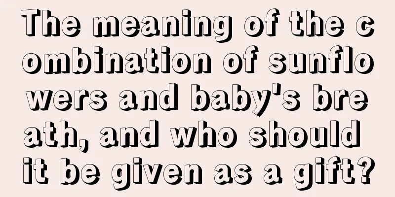 The meaning of the combination of sunflowers and baby's breath, and who should it be given as a gift?