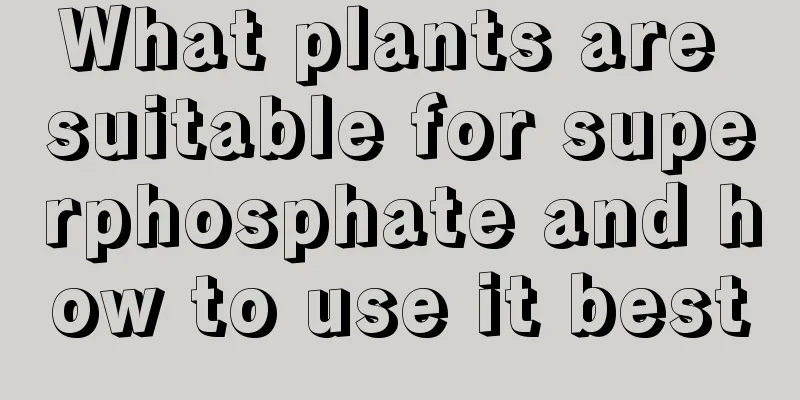 What plants are suitable for superphosphate and how to use it best