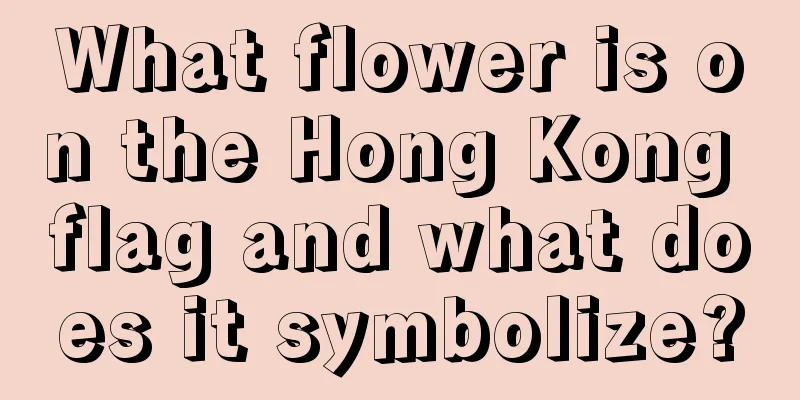 What flower is on the Hong Kong flag and what does it symbolize?