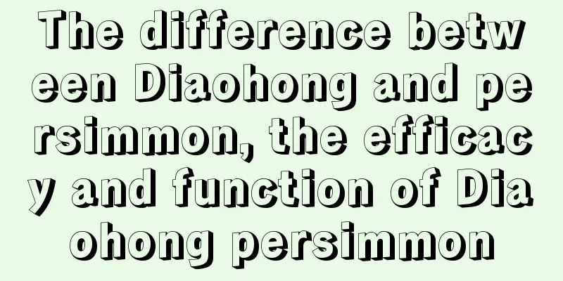 The difference between Diaohong and persimmon, the efficacy and function of Diaohong persimmon