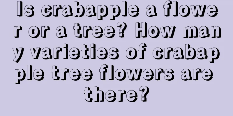 Is crabapple a flower or a tree? How many varieties of crabapple tree flowers are there?