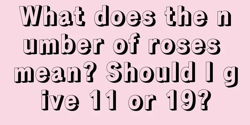 What does the number of roses mean? Should I give 11 or 19?