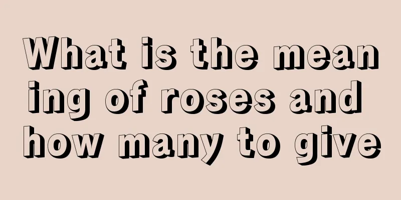 What is the meaning of roses and how many to give