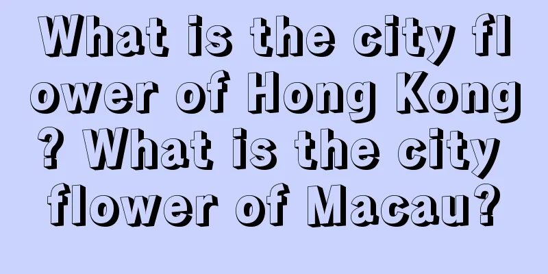 What is the city flower of Hong Kong? What is the city flower of Macau?