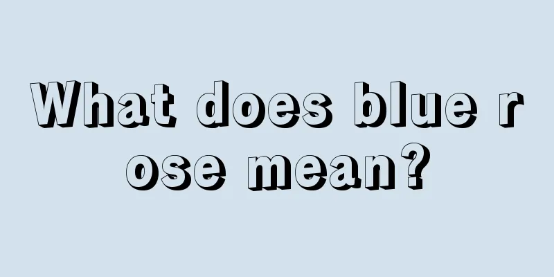 What does blue rose mean?