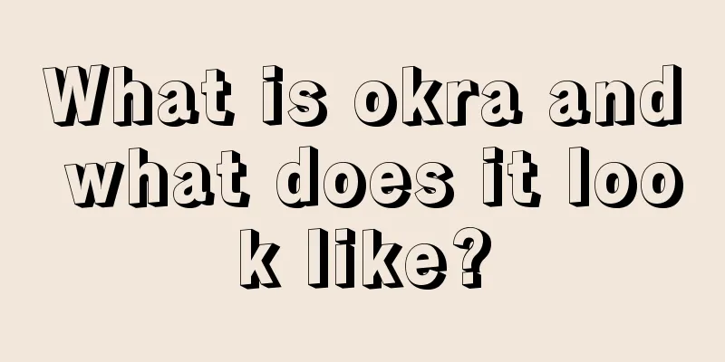 What is okra and what does it look like?