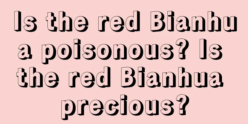 Is the red Bianhua poisonous? Is the red Bianhua precious?