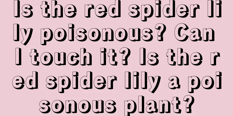 Is the red spider lily poisonous? Can I touch it? Is the red spider lily a poisonous plant?