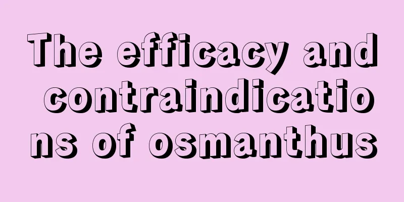 The efficacy and contraindications of osmanthus