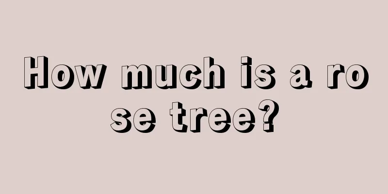 How much is a rose tree?