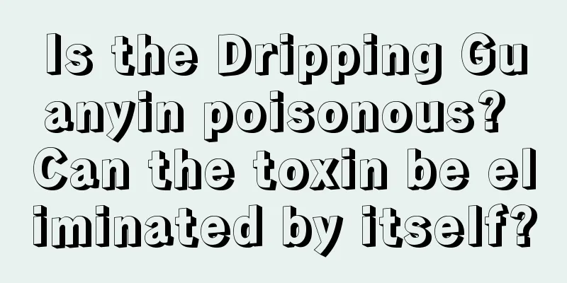 Is the Dripping Guanyin poisonous? Can the toxin be eliminated by itself?