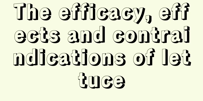 The efficacy, effects and contraindications of lettuce