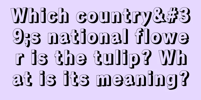 Which country's national flower is the tulip? What is its meaning?