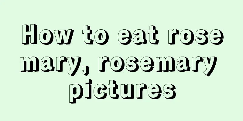 How to eat rosemary, rosemary pictures