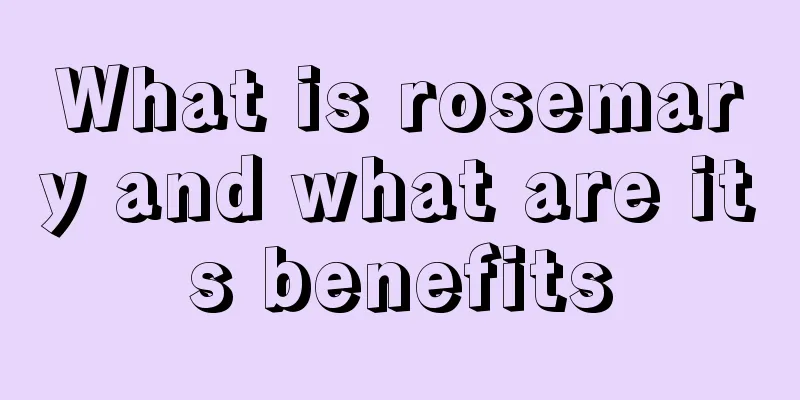 What is rosemary and what are its benefits