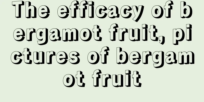 The efficacy of bergamot fruit, pictures of bergamot fruit