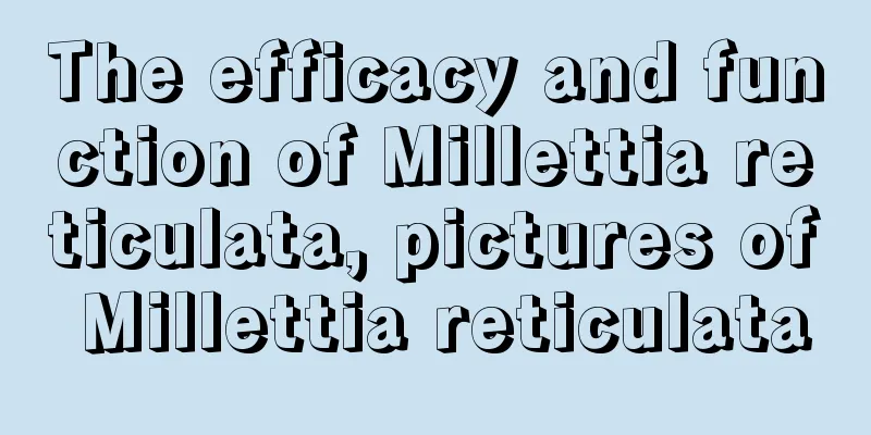 The efficacy and function of Millettia reticulata, pictures of Millettia reticulata