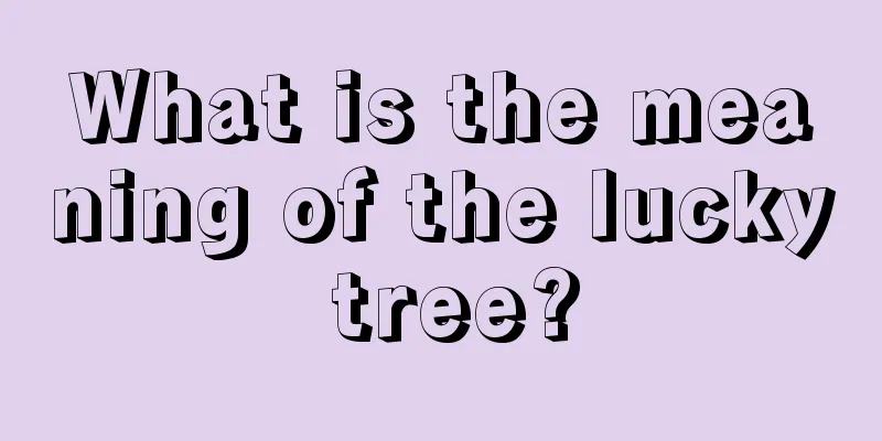 What is the meaning of the lucky tree?