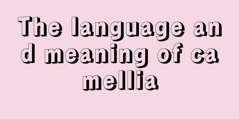 The language and meaning of camellia