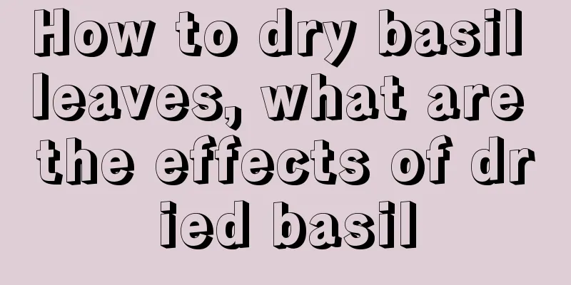 How to dry basil leaves, what are the effects of dried basil